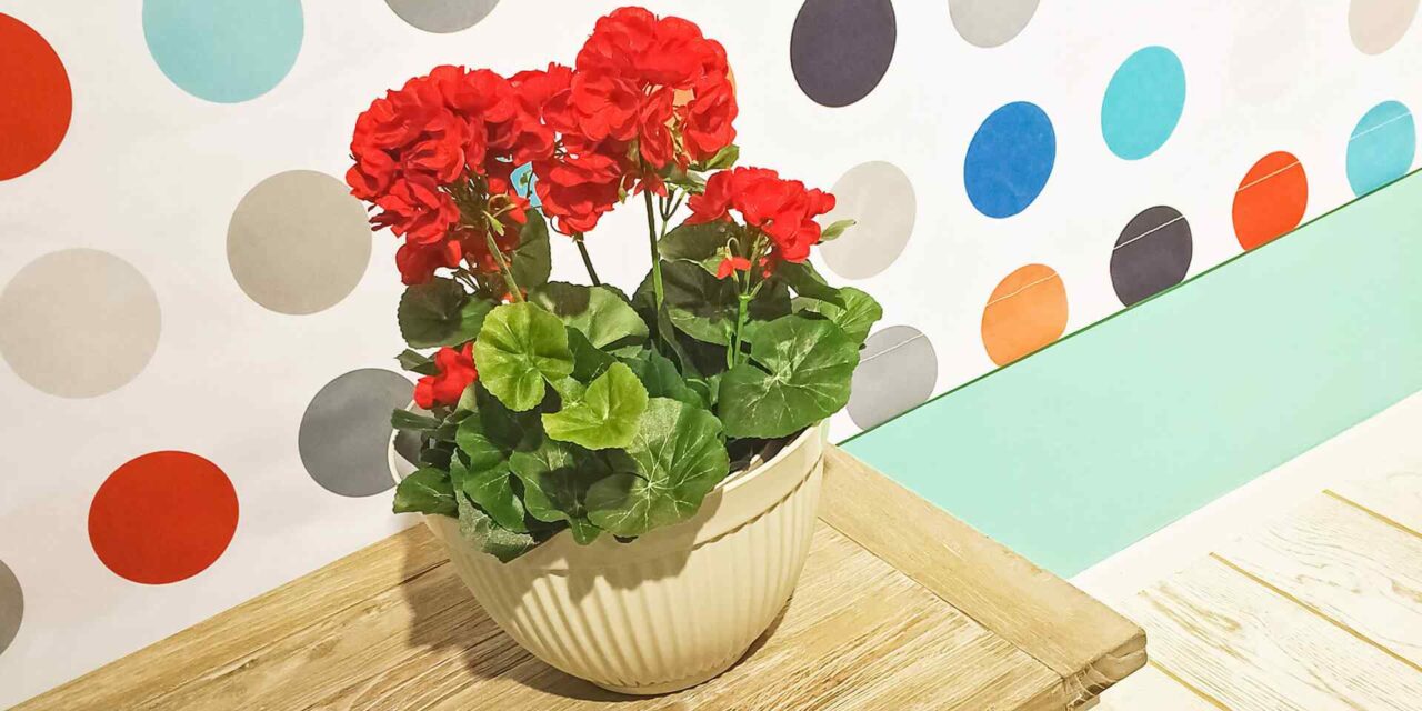 Our Top House Painting Transformations of 2018