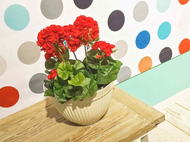 Our Top House Painting Transformations of 2018